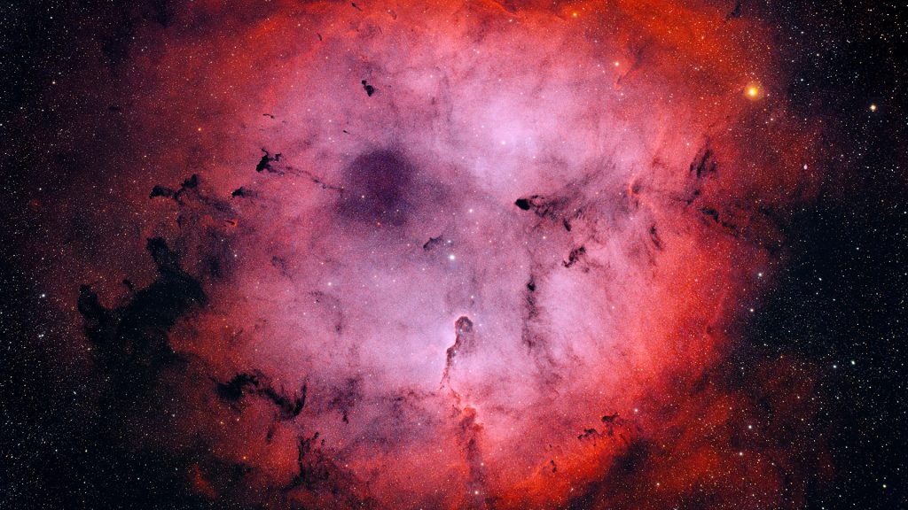 Elefantenruessel_IC1396_26.07