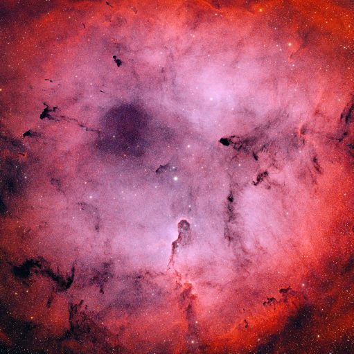 IC1396 – Elefantenrüssel