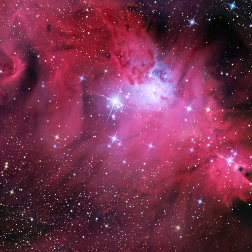 NGC2264