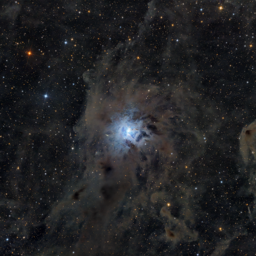 NGC 7023 – Irisnebel