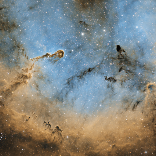 IC 1396 2024