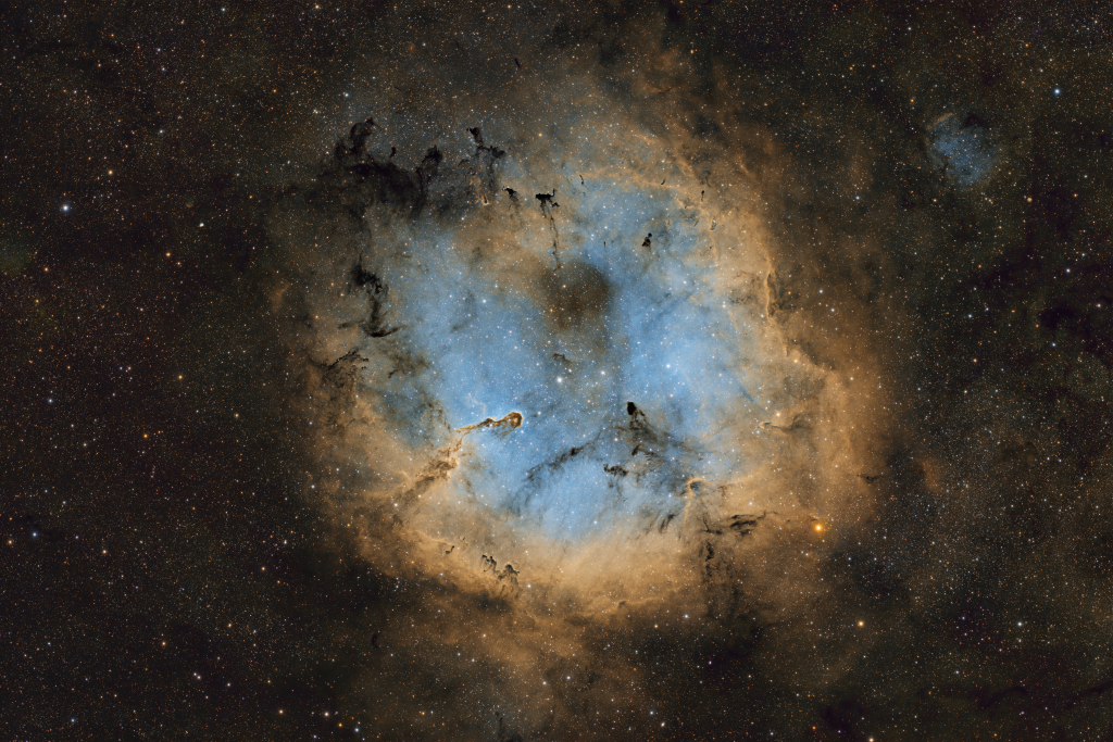 IC1396NEU