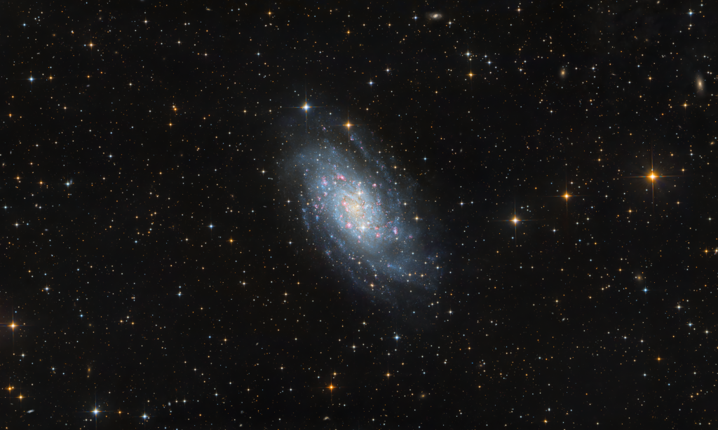 NGC2403_Neu2026