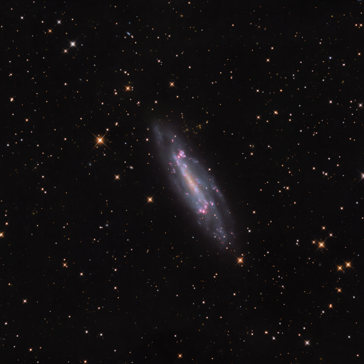 NGC 4236