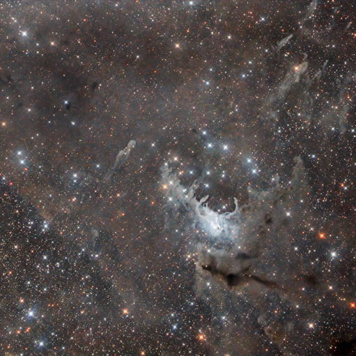 NGC 225