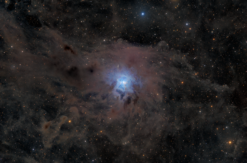 NGC7023_Iris_2025